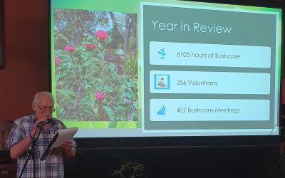 The Bushcare Party 2024